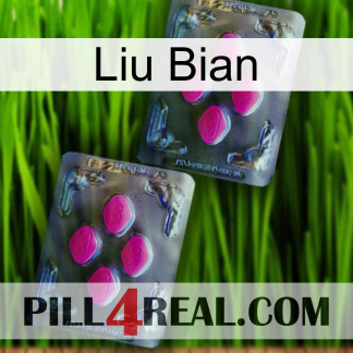 Liu Bian 01